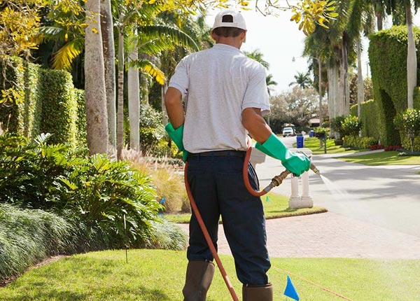 About Glenarm IL Pest Control
